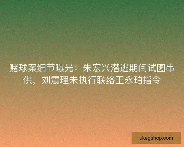赌球案细节曝光：朱宏兴潜逃期间试图串供，刘震理未执行联络王永珀指令